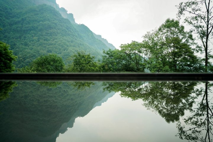 青城山无境山居