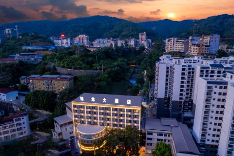 田林锦龙大酒店