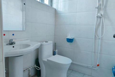 额济纳旗胡杨缘家庭宾馆