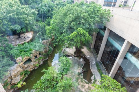 长隆酒店(广州长隆野生动物世界店)