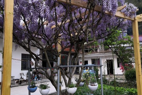 月亮湾生态旅游风景区星月缘宿客栈(皖南川藏线2号分店)