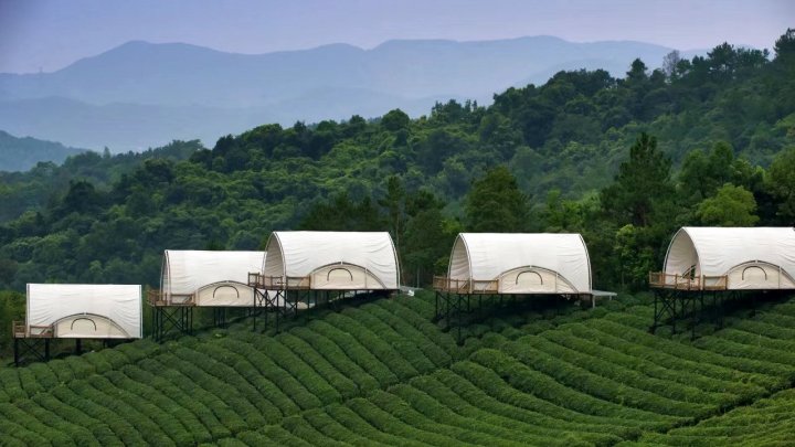 境见·茶野里野奢帐篷露营地