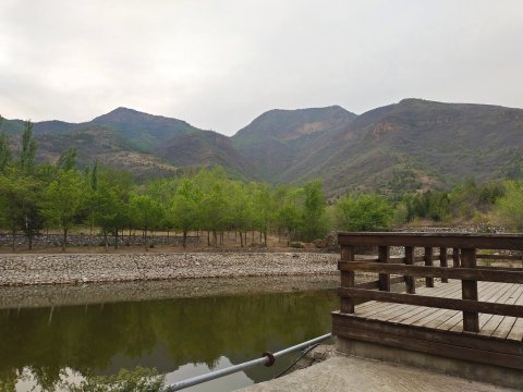 龙缘骑士农家院(辛北路分店)