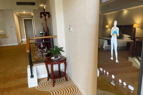 泰州碧桂园凤悦凤凰酒店