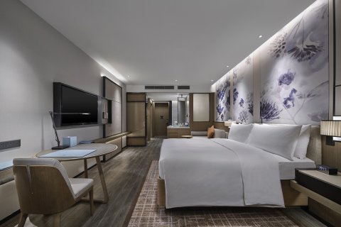 英德巧克力王国酒店