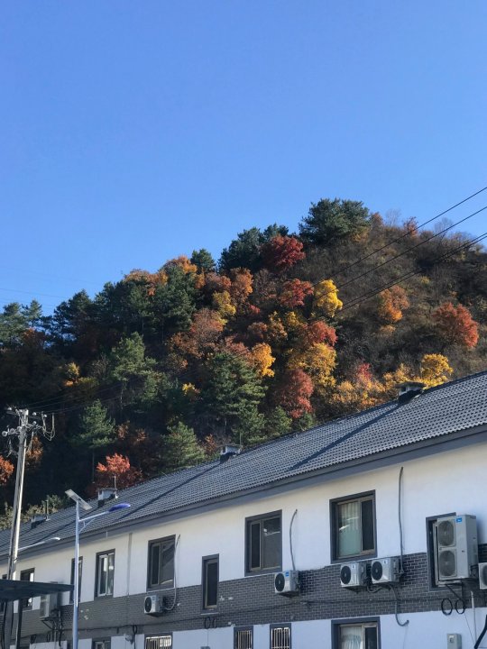 星苑枫餐厅S民宿(京加路分店)