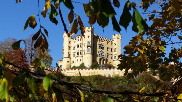 宽敞，温馨的公寓，靠近巴伐利亚州艾尔高地的富森(Spacious, Inviting Apartment Near Fussen in the Allgau Region in Bavaria)