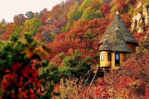 云峰山童话树屋