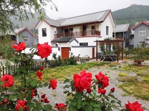 深山土匪度假别墅(平关路分店)