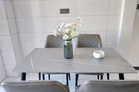 房东平姐全程为您服务公寓(友谊路分店)