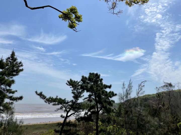 金海滩国际海水浴场公寓(环海路1号分店)