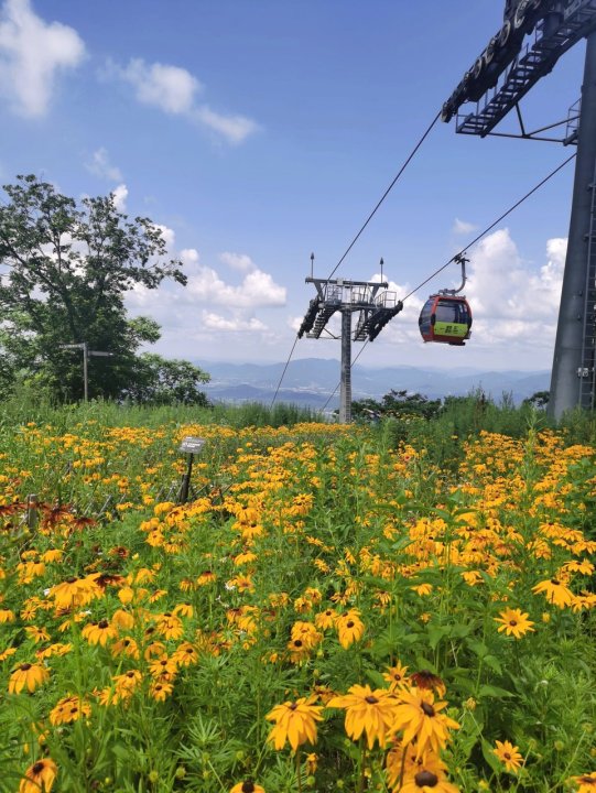 青山丽姐公寓(松花西路分店)