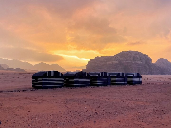 Fares Wadi Rum