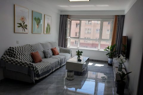 房东平姐全程为您服务公寓(友谊路分店)