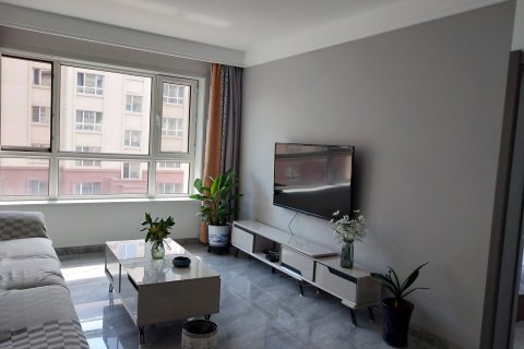 房东平姐全程为您服务公寓(友谊路分店)