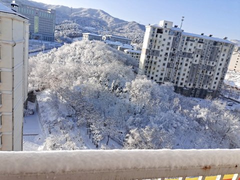 房东大丽客栈(程家街分店)