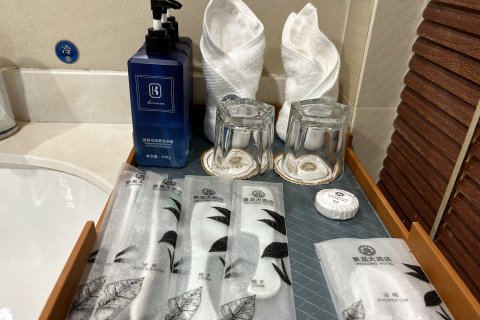 勐海景龙白象大酒店