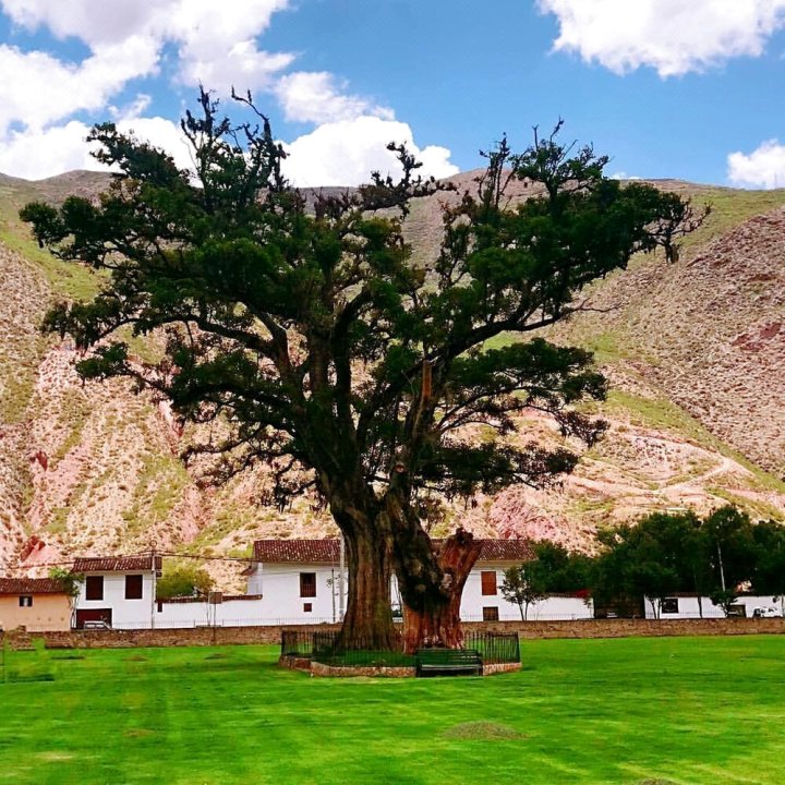 神圣谷旅馆 - 库斯科酒店(The Sacred Valley Lodge - Hotel Cusco - Hostel)