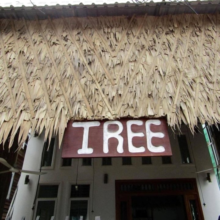 树暹粒公寓酒店(Tree Siem Reap Apartments)
