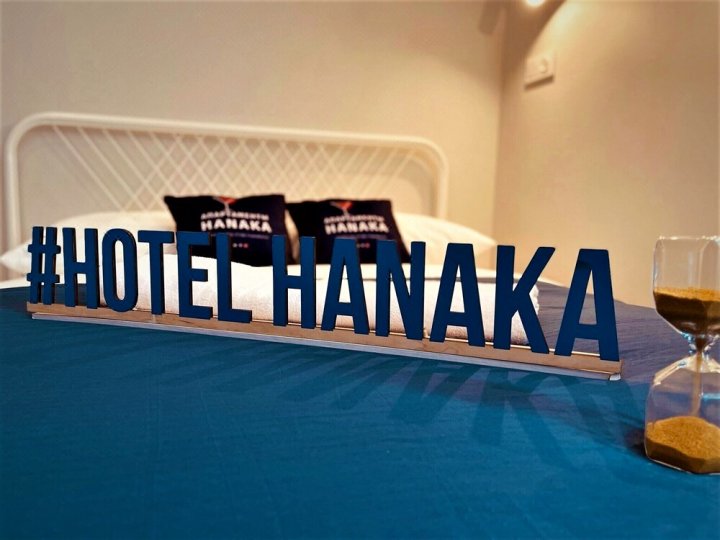 Hanaka的Avtozavodskaia 17k1(Hanaka on Avtozavodskaia 17k1)