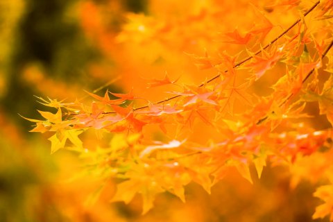 栢汇商务酒店(西平行政学校店)