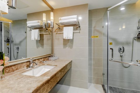 白金汉宫大酒店(阜阳颍东区政府火车站店)