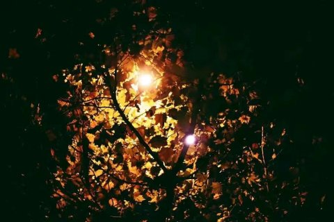 栢汇商务酒店(西平行政学校店)