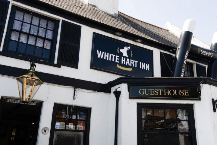 白鹿旅馆(The White Hart Inn)