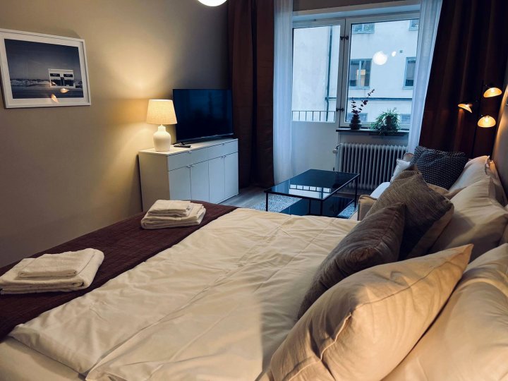 Södermalm的舒适单间公寓(Cozy One Room Apartment at Sodermalm)