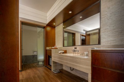 阆中锦元张飞国际酒店