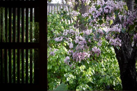 丽江吾爱堂客栈