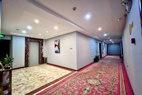 修文金文精品酒店