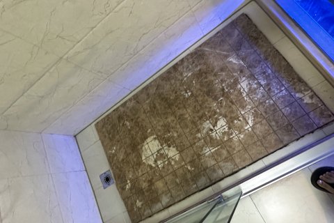 白天鹅连锁酒店(兴化戴南团结路店)