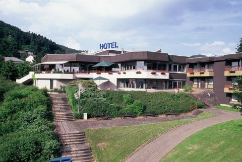 比登科普夫公园酒店(Halbersbacher Parkhotel Biedenkopf)