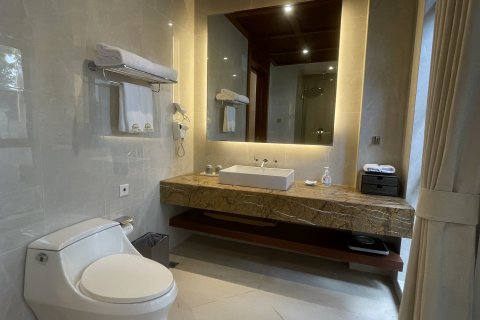 七仙岭中南温泉公寓酒店