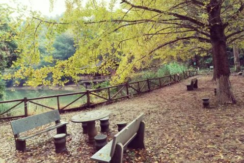 南雄江景庭酒店