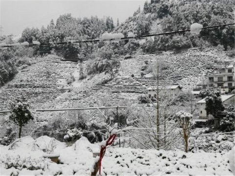 黄山拾壹号农家乐特色民宿(黄山长潭驿栈分店)