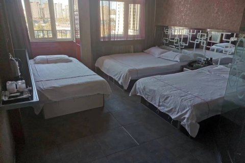 禧龙宾馆(虎林店)