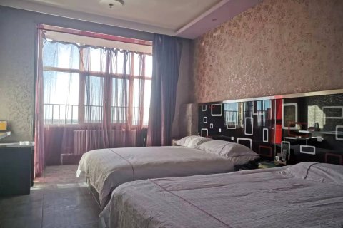 禧龙宾馆(虎林店)