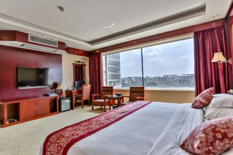 祥和大酒店(田东人民广场县政府店)