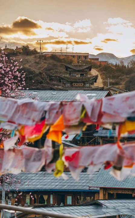 云上花开F·Cloud旅居生活设计美宿