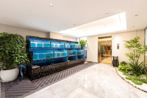 南江世纪朝阳大饭店(光雾山广场店)