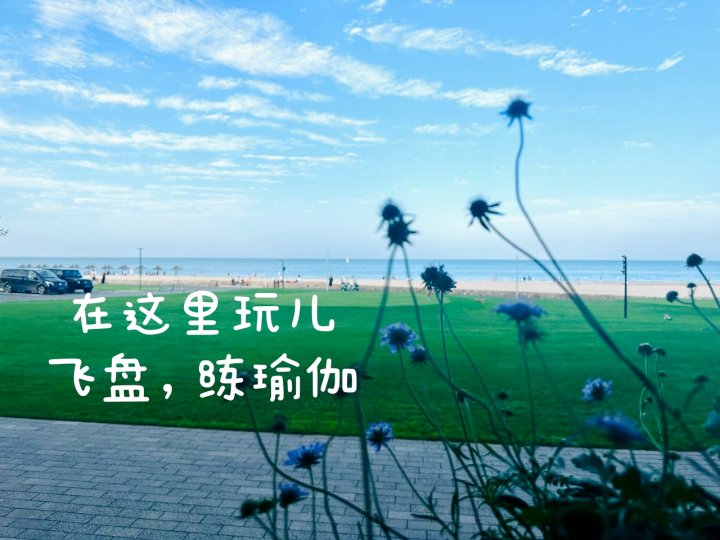 刘玫瑰和阳阳亮亮公寓(滨海新大道分店)