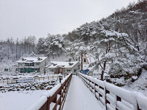 洪川河景松树民宿(Hongcheon River View Sonamu Pension)