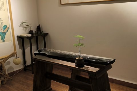 莲韵居禅文化民宿( 阳朔西街店)