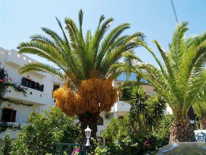 Kastro Hotel Myrtos