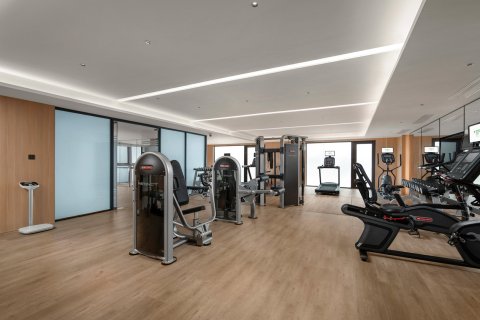 武汉国博套房假日酒店