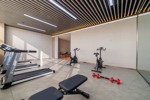 麗枫酒店(咸阳武功店)