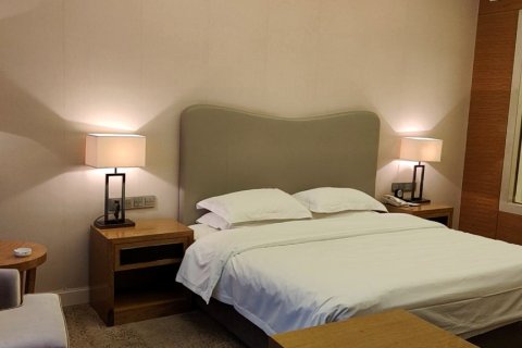 山东中岭国际酒店