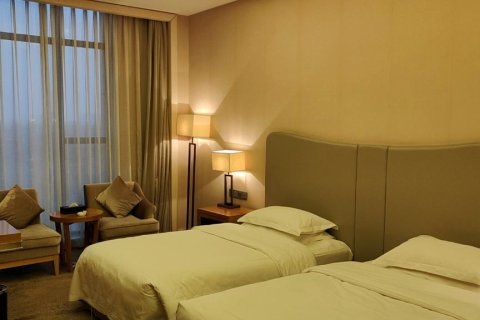 山东中岭国际酒店